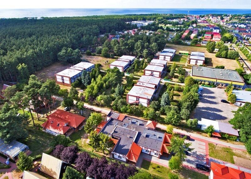 Free website template